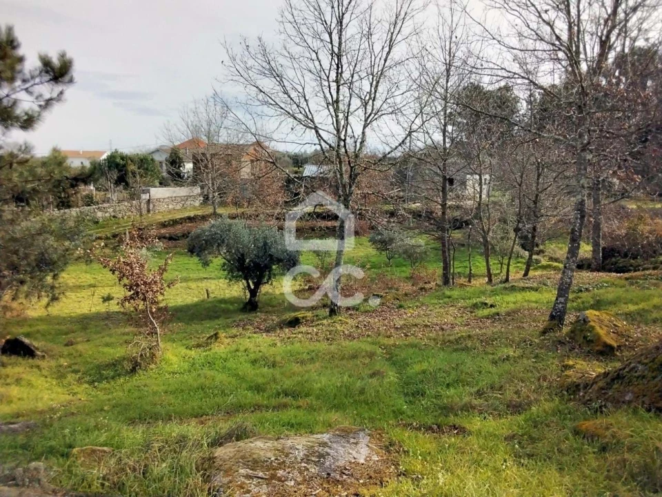 Terreno para Venda em Boa Aldeia, Farminhão e Torredeita Foto 5