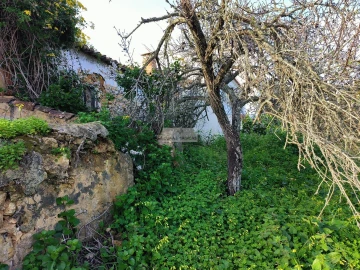 Terreno para Venda em Lagos (São Sebastião e Santa Maria)