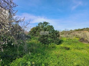 Terreno para Venda em Lagos (São Sebastião e Santa Maria)