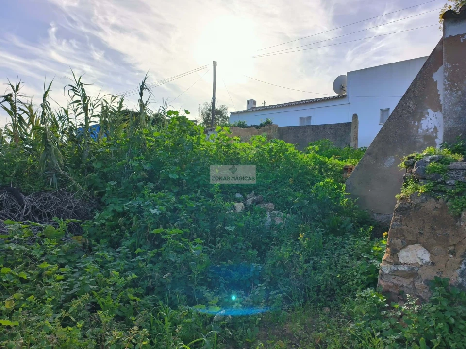 Terreno para Venda em Lagos (São Sebastião e Santa Maria) Foto 11