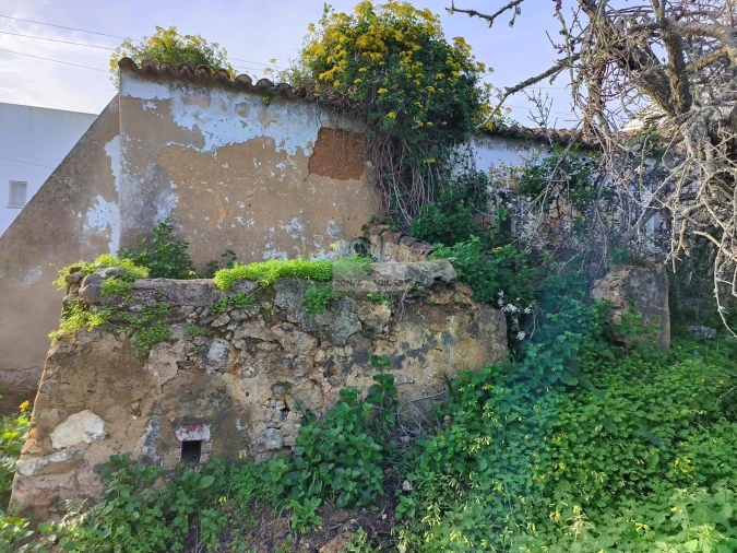 Terreno para Venda em Lagos (São Sebastião e Santa Maria) Foto 10
