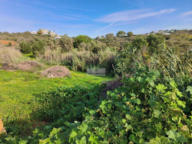 Terreno para Venda em Lagos (São Sebastião e Santa Maria) Foto 7