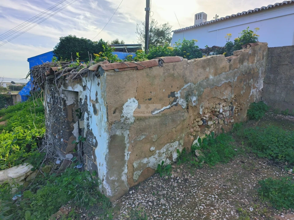 Terreno para Venda em Lagos (São Sebastião e Santa Maria) Foto 4