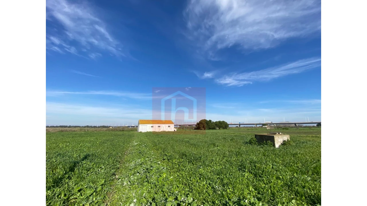Terreno Agricola ou Rústico para Venda em Samouco Foto 10