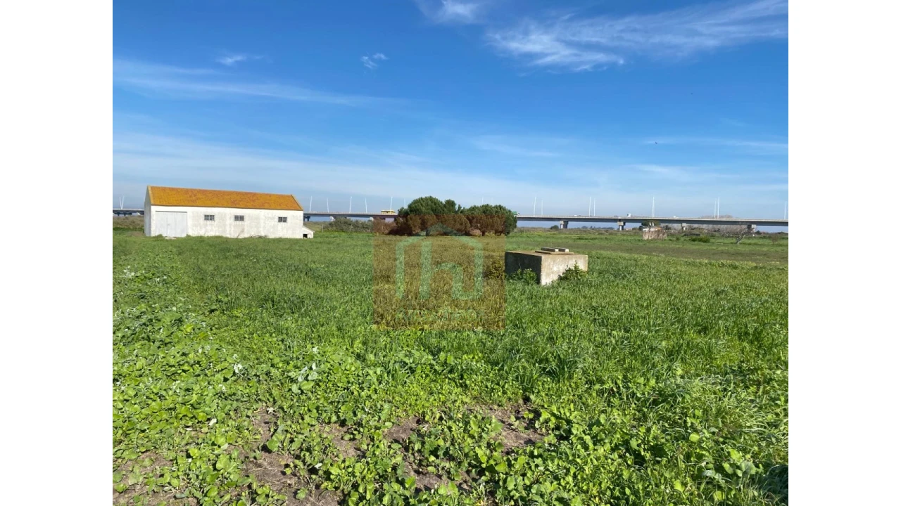 Terreno Agricola ou Rústico para Venda em Samouco Foto 4