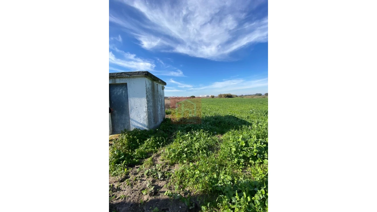 Terreno Agricola ou Rústico para Venda em Samouco Foto 6