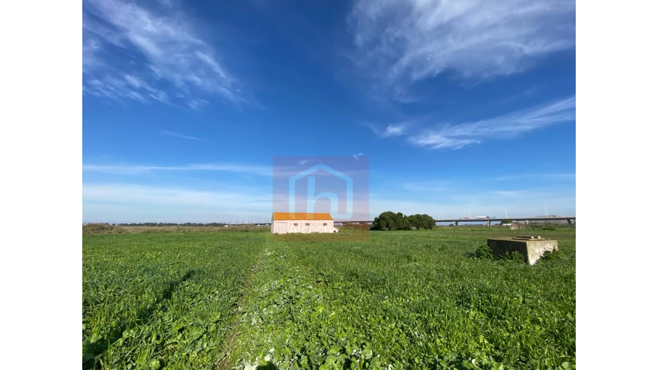 Terreno Agricola ou Rústico para Venda em Samouco Foto 2