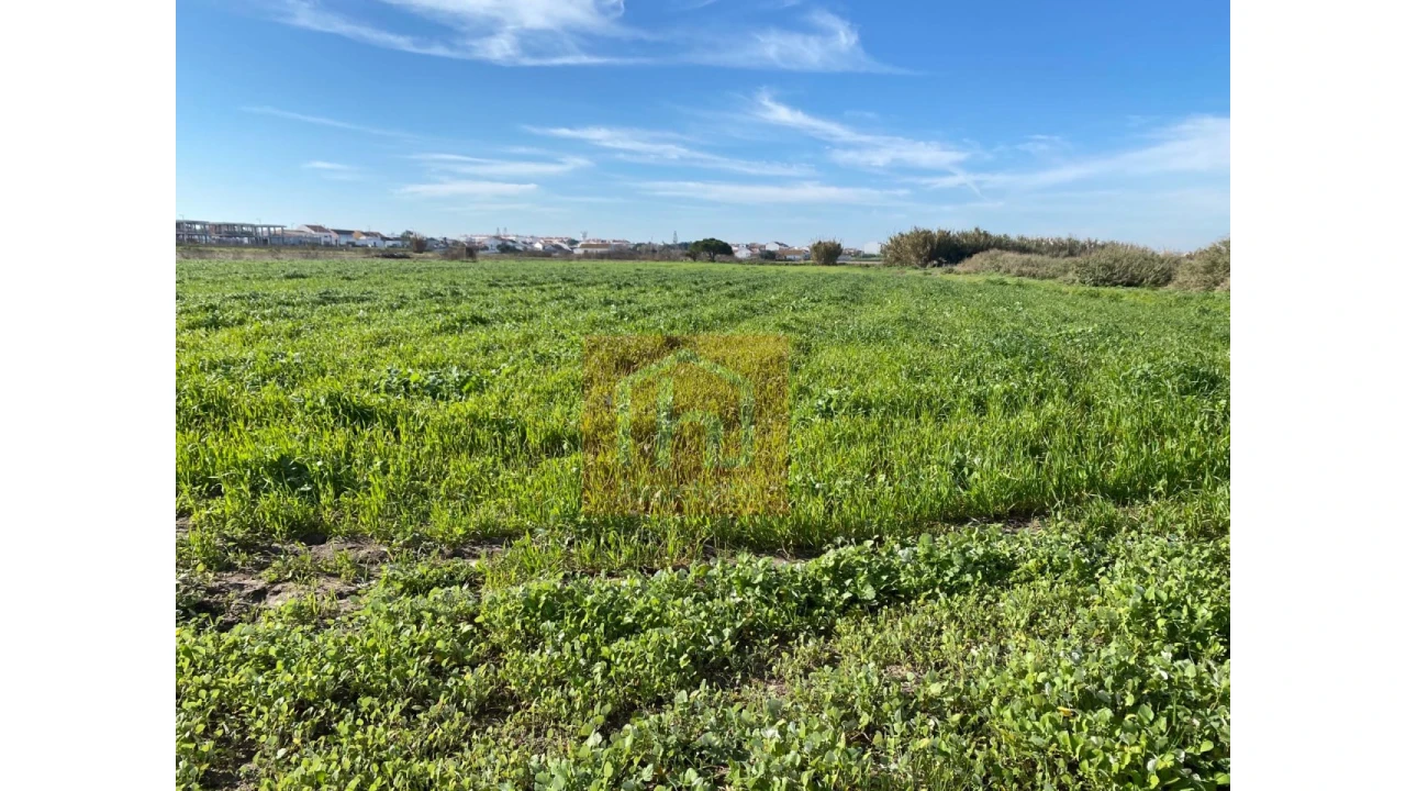 Terreno Agricola ou Rústico para Venda em Samouco Foto 7