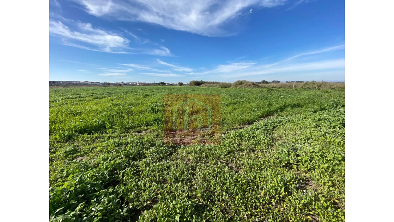 Terreno Agricola ou Rústico para Venda em Samouco Foto 3