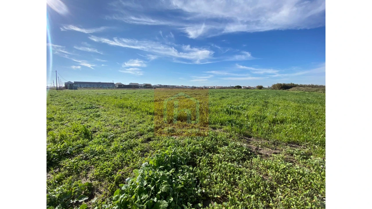 Terreno Agricola ou Rústico para Venda em Samouco Foto 19