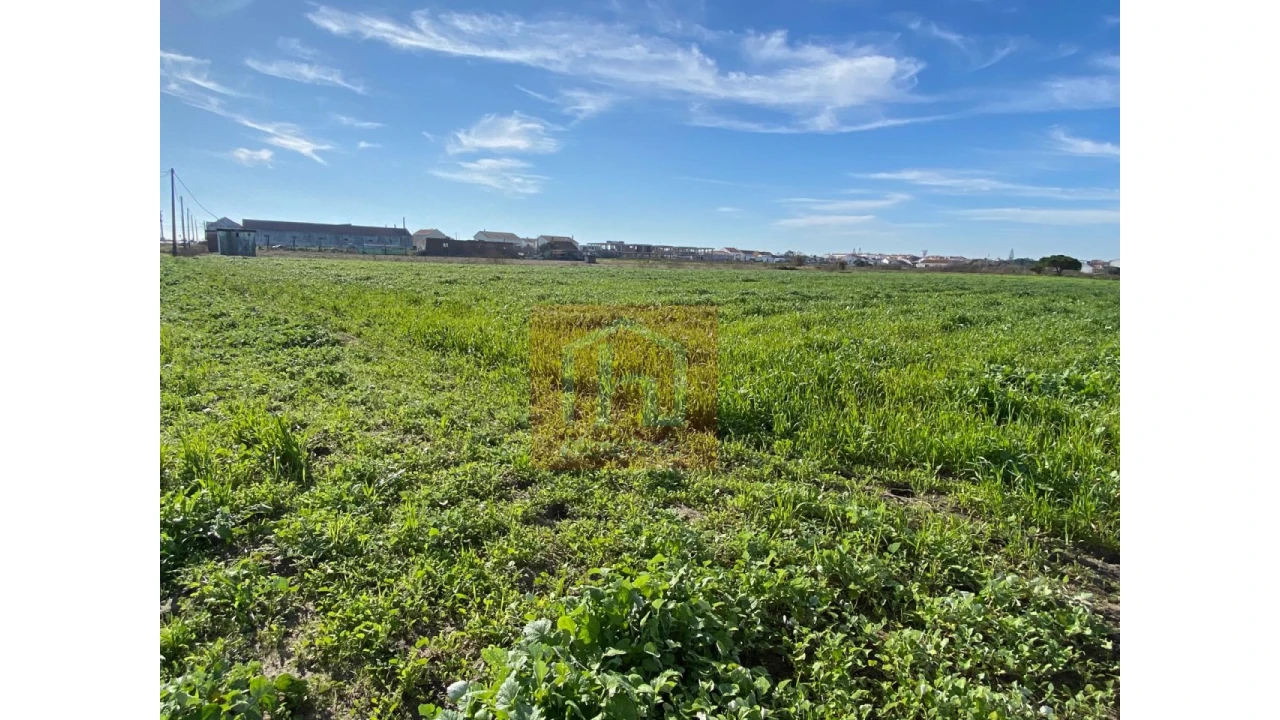 Terreno Agricola ou Rústico para Venda em Samouco Foto 20