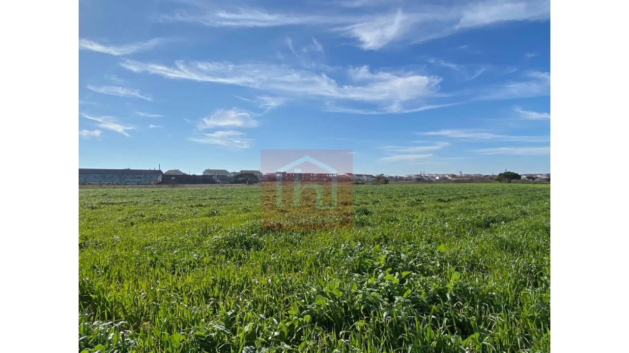 Terreno Agricola ou Rústico para Venda em Samouco Foto 9