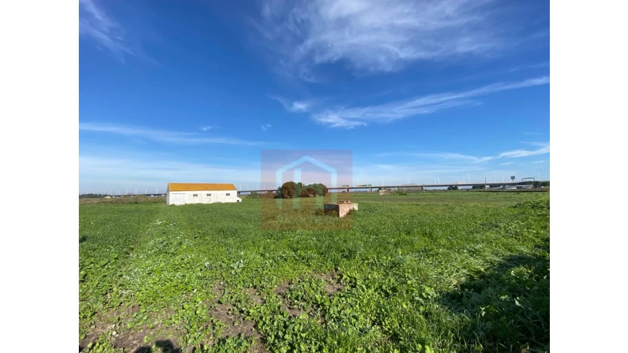 Terreno Agricola ou Rústico para Venda em Samouco Foto 8