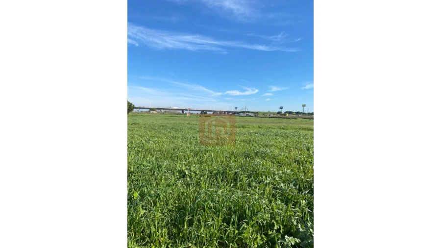 Terreno Agricola ou Rústico para Venda em Samouco Foto 12