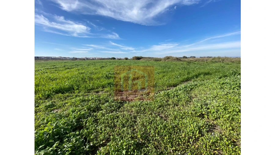 Terreno Agricola ou Rústico para Venda em Samouco Foto 3