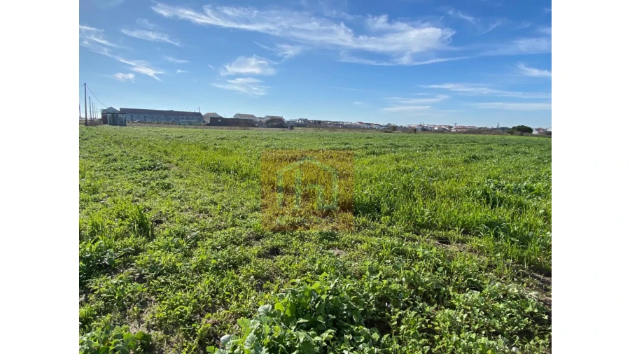 Terreno Agricola ou Rústico para Venda em Samouco Foto 20