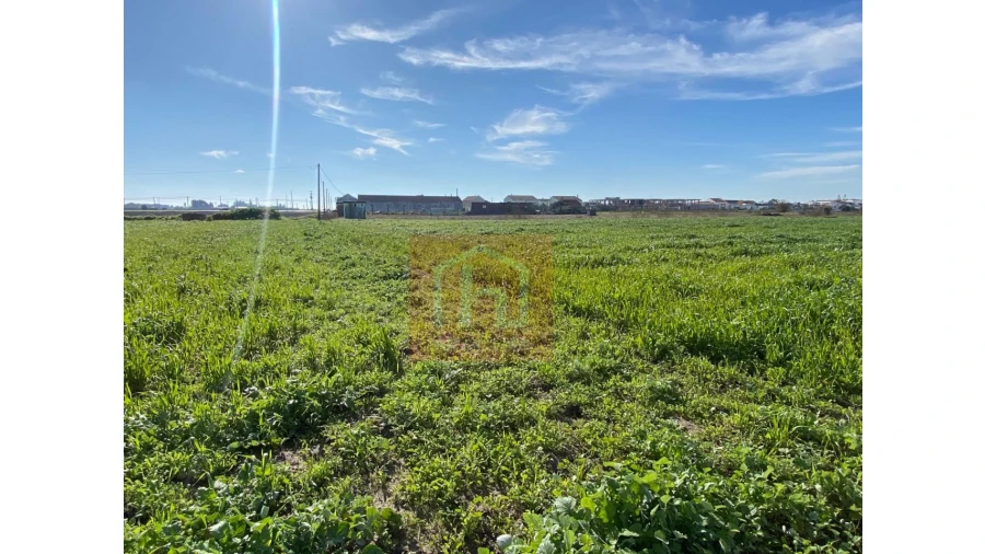 Terreno Agricola ou Rústico para Venda em Samouco Foto 21