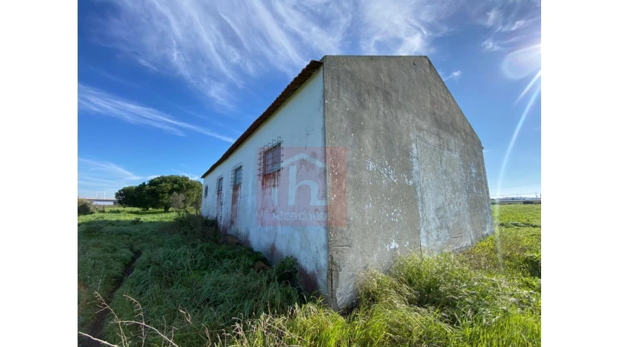 Terreno Agricola ou Rústico para Venda em Samouco Foto 22