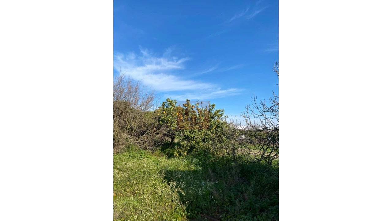 Terreno Agricola ou Rústico para Venda em São Francisco Foto 10
