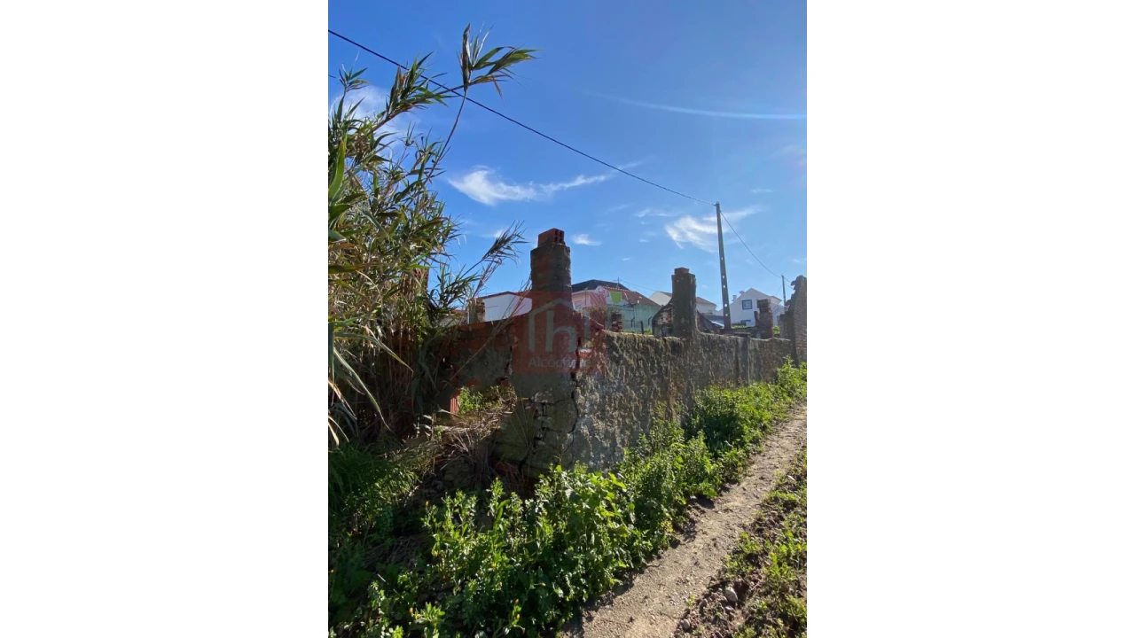 Terreno Agricola ou Rústico para Venda em São Francisco Foto 2