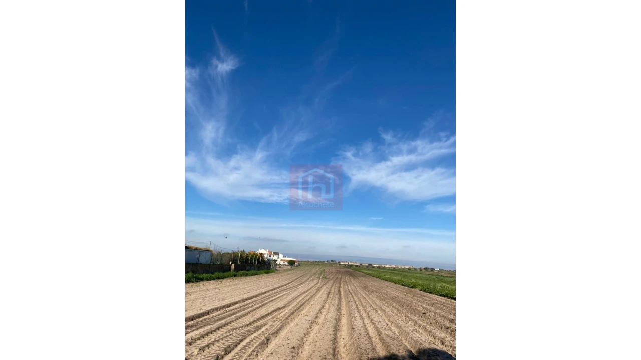 Terreno Agricola ou Rústico para Venda em São Francisco Foto 3