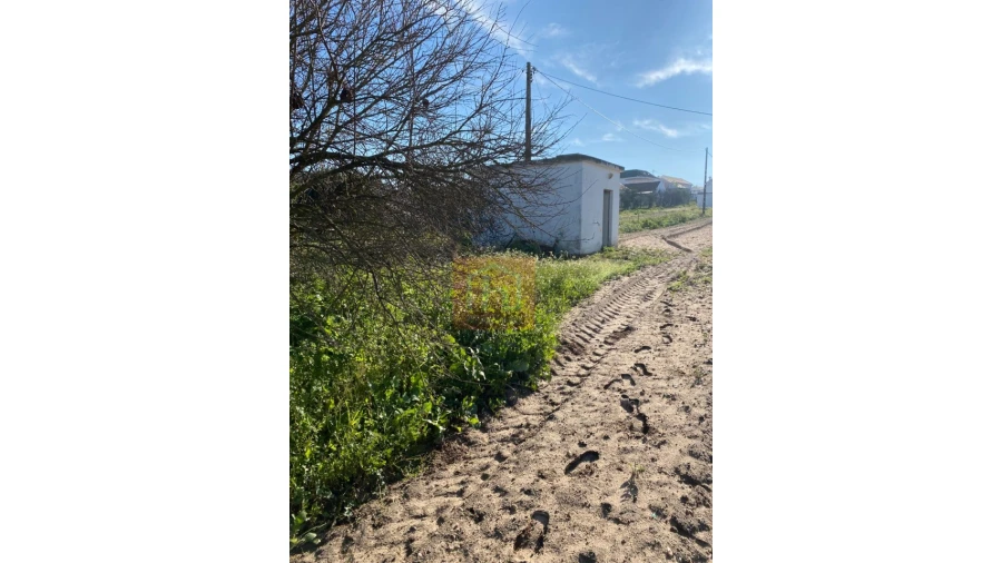 Terreno Agricola ou Rústico para Venda em São Francisco Foto 1