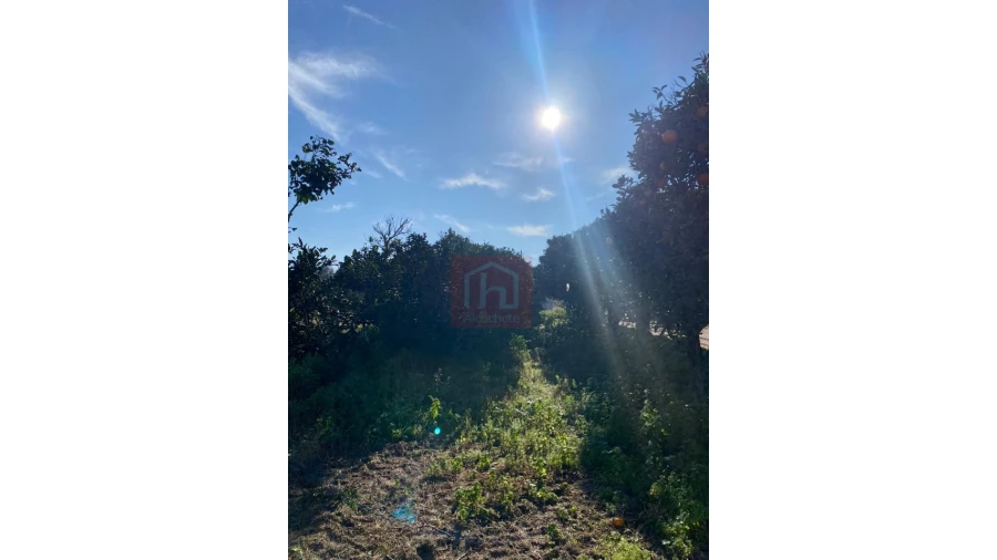 Terreno Agricola ou Rústico para Venda em São Francisco Foto 8