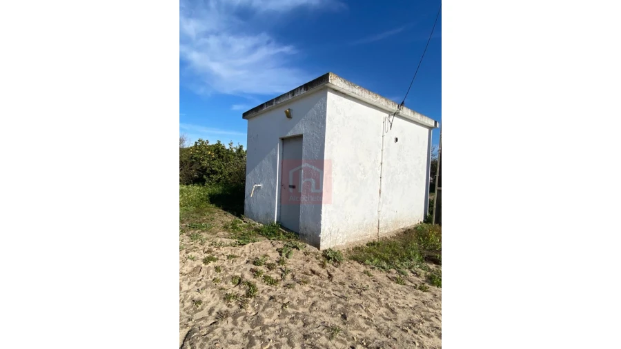Terreno Agricola ou Rústico para Venda em São Francisco Foto 5