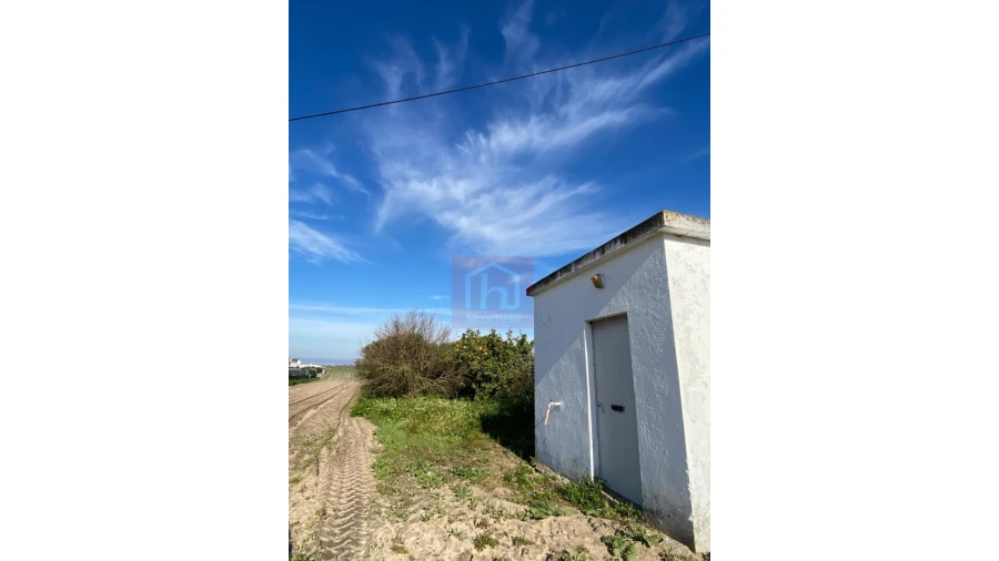 Terreno Agricola ou Rústico para Venda em São Francisco Foto 13