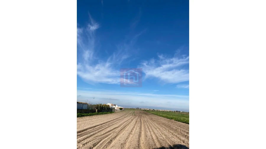 Terreno Agricola ou Rústico para Venda em São Francisco Foto 3