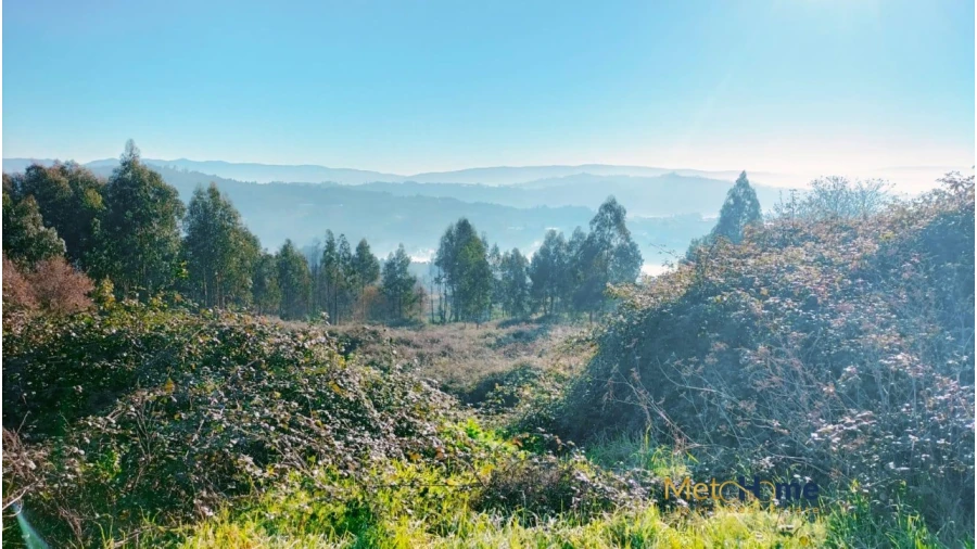 Terreno para Venda em Travanca Foto 5