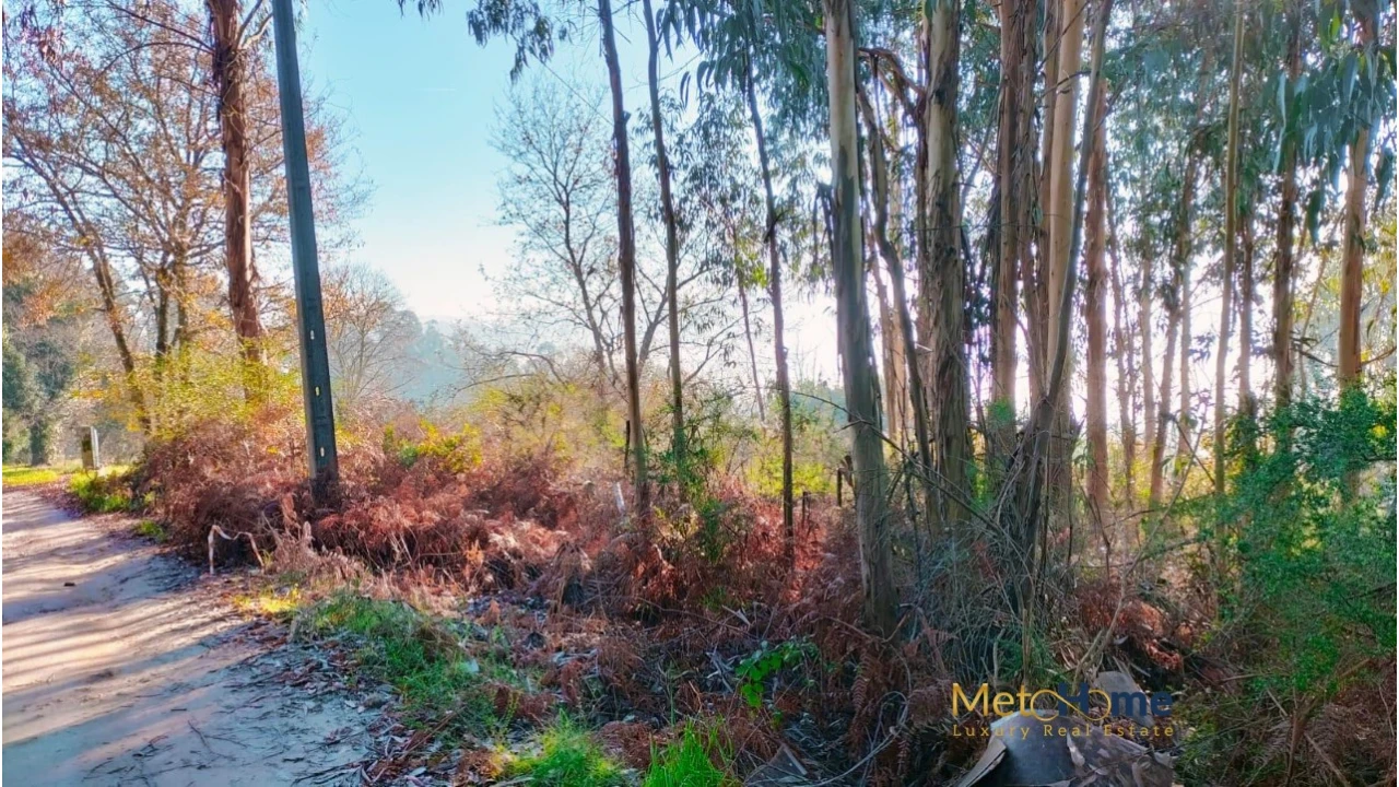 Terreno para Venda em Travanca Foto 7