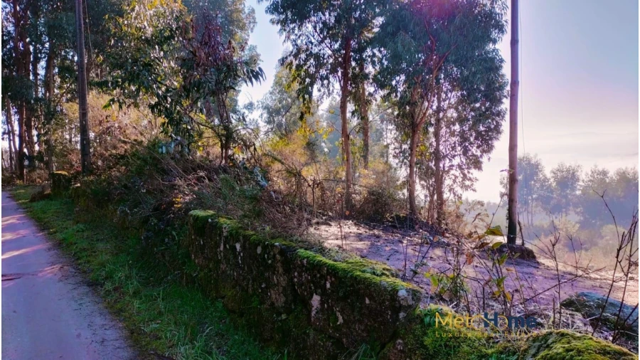 Terreno para Venda em Travanca Foto 6