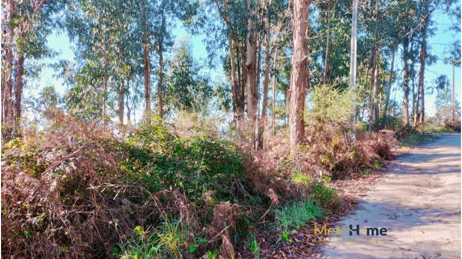 Terreno para Venda em Travanca Foto 1