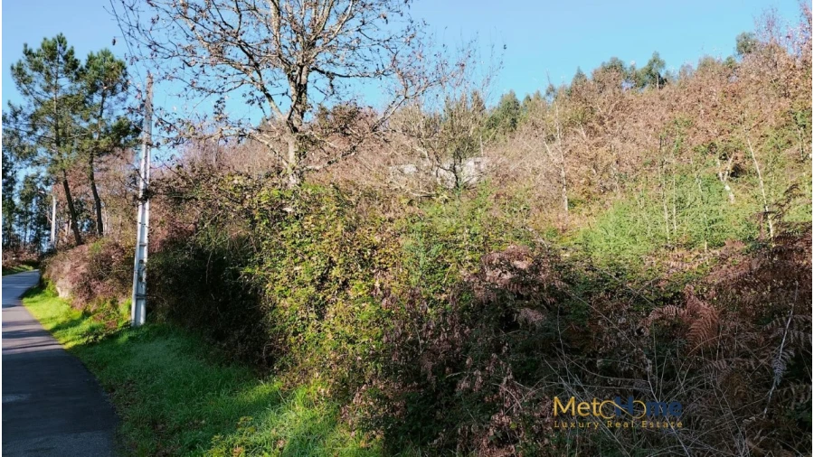 Terreno para Venda em Travanca Foto 5
