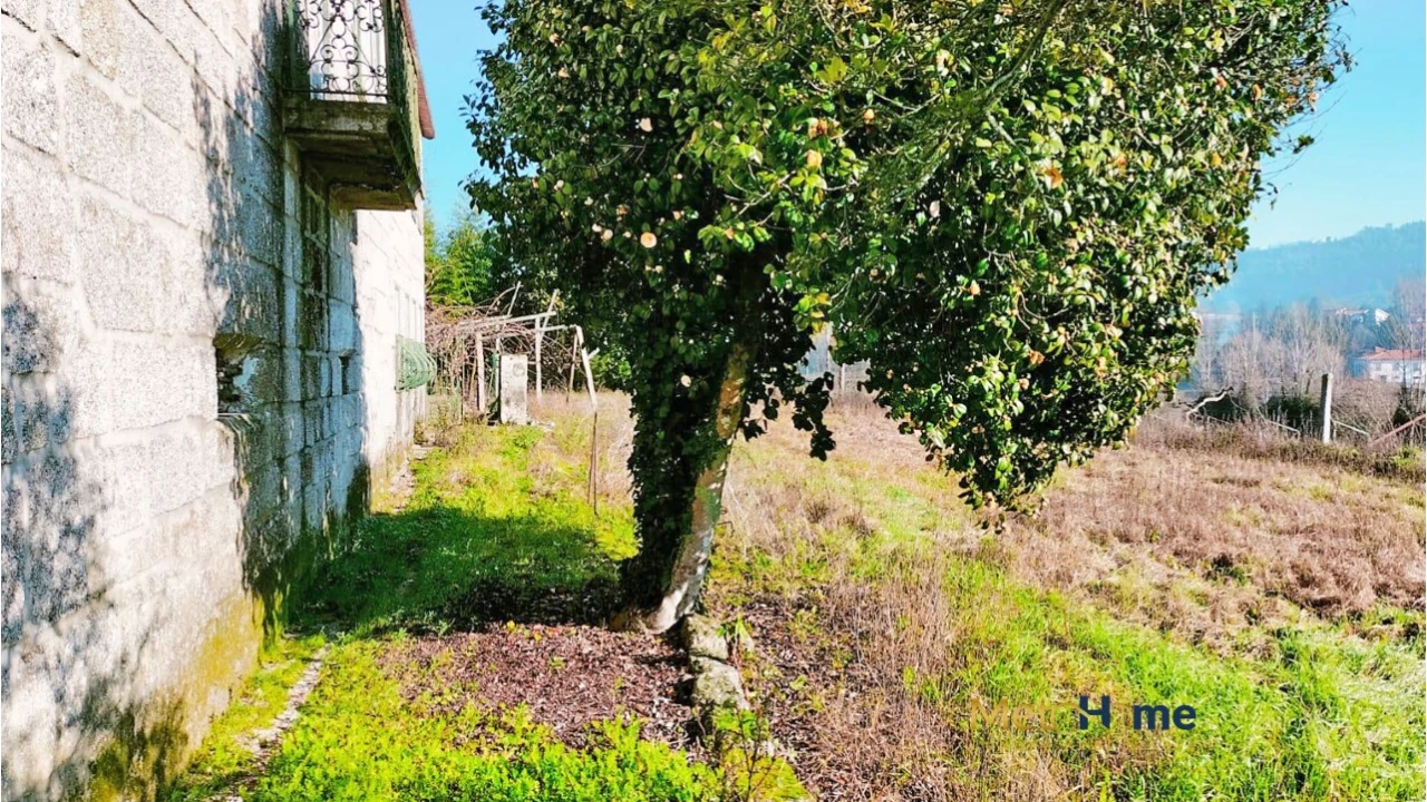 Quinta T5 para Venda em Travanca Foto 9