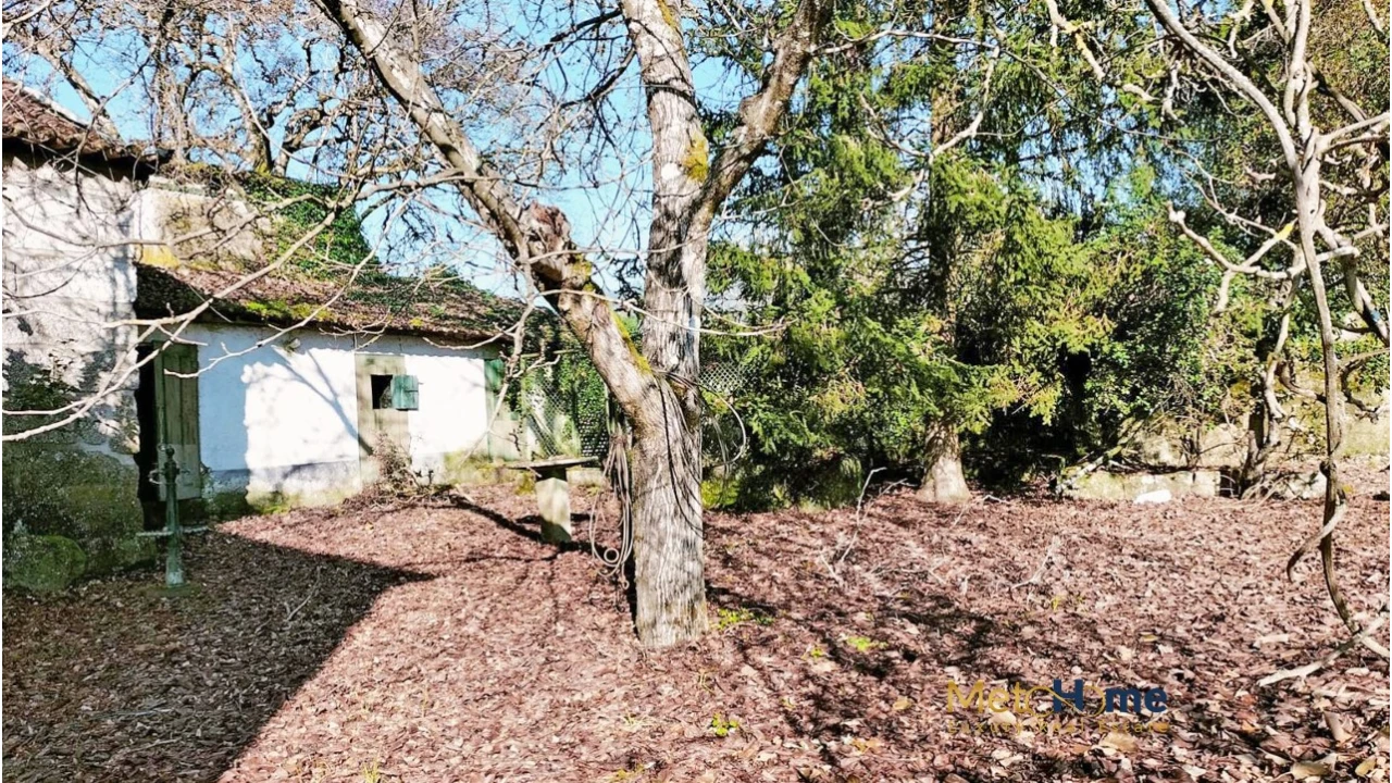 Quinta T5 para Venda em Travanca Foto 13