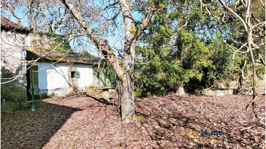 Quinta T5 para Venda em Travanca Foto 13