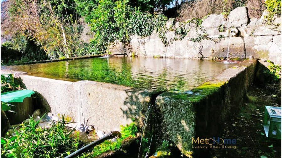 Quinta T5 para Venda em Travanca Foto 17