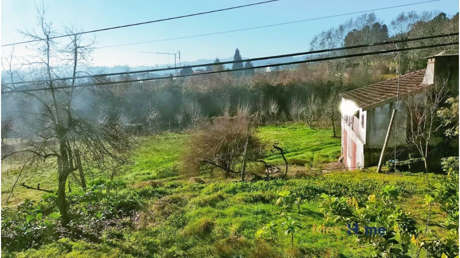 Quinta T5 para Venda em Travanca Foto 19