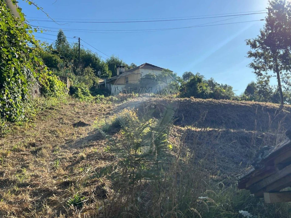 Terreno para Venda em Canedo, Vale e Vila Maior Foto 1