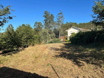 Terreno para Venda em Canedo, Vale e Vila Maior
