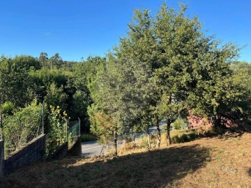 Terreno para Venda em Canedo, Vale e Vila Maior
