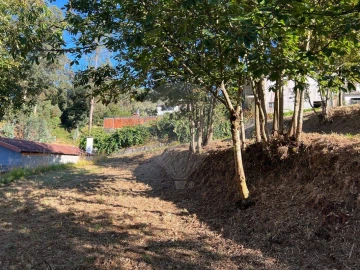 Terreno para Venda em Canedo, Vale e Vila Maior