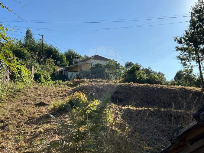 Terreno para Venda em Canedo, Vale e Vila Maior Foto 5