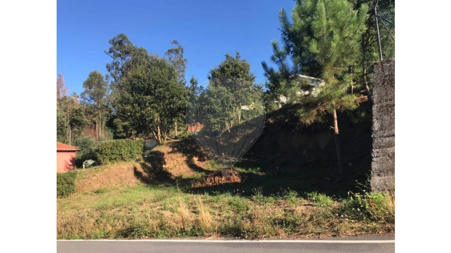 Terreno para Venda em Canedo, Vale e Vila Maior Foto 23