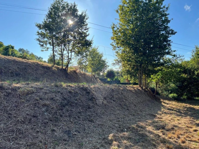 Terreno para Venda em Canedo, Vale e Vila Maior Foto 17