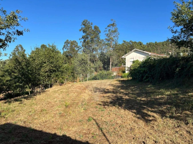 Terreno para Venda em Canedo, Vale e Vila Maior Foto 9