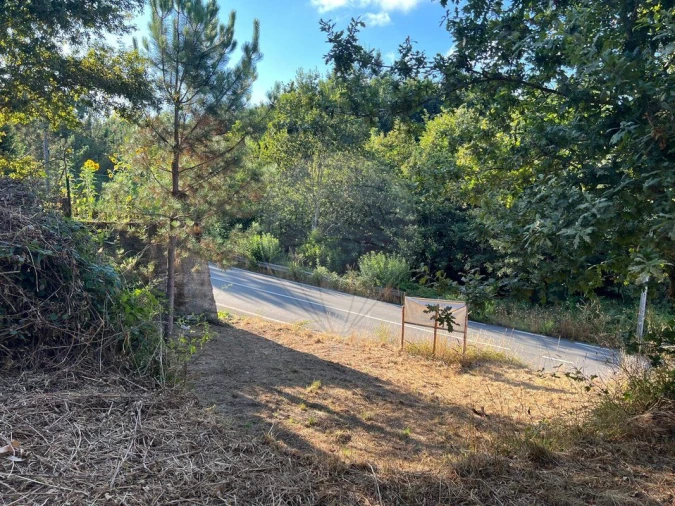 Terreno para Venda em Canedo, Vale e Vila Maior Foto 16