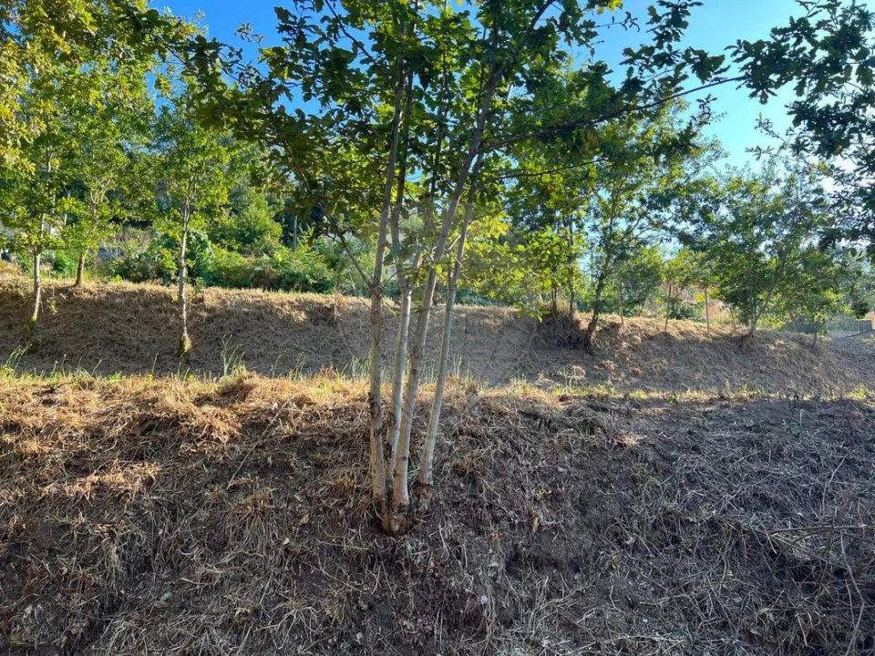 Terreno para Venda em Canedo, Vale e Vila Maior Foto 15